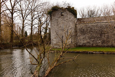 Un castello in rovina in Belgio circondato da un fossato pieno di acqua con gli alberi alti secchi e caduti